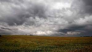 Breve respiro para el maíz y la soja: las lluvias apaciguaron la ola de calor, aunque la sequía continúa