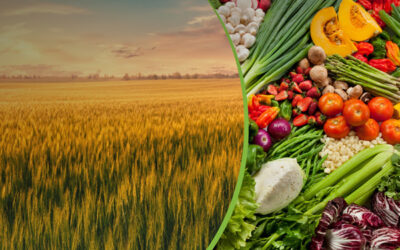 Cuidar el suelo y nutrir los cultivos para producir más y mejores alimentos