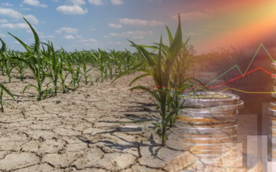 El clima como determinante de la economía