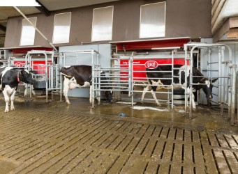 Lely cierra el 2022 siendo la compañía con más robots de ordeñe instalados en el país