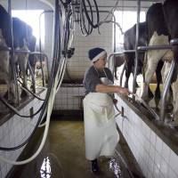 El Programa Impulso Tambero lleva inscriptos a 3650 productores