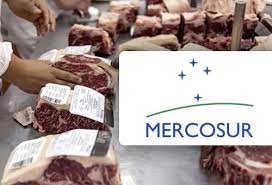 Exportaciones récord de carne bovina del Mercosur en el 2022