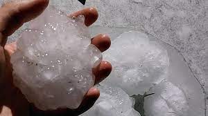 Riesgo y cobertura en el agro: tendencias en un análisis estructural del mercado asegurador argentino