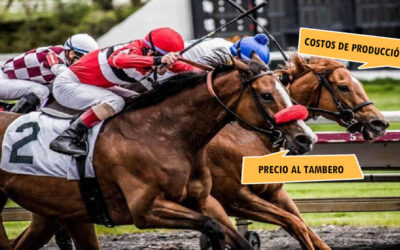 Por una cabeza: la carrera de los precios y los costos de la leche