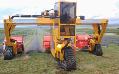 El extraño tractor “zancudo” de cultivos especiales