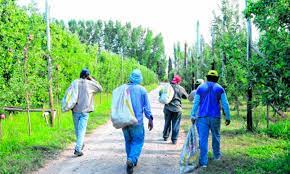 Acuerdo salarial con el sector frutícola