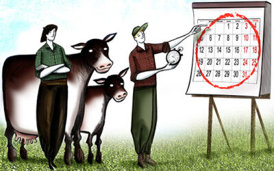 Mejoran el resultado de la cría en plena seca