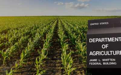 Alta probabilidad de movimientos extremos, no dejes de repensar tus posiciones