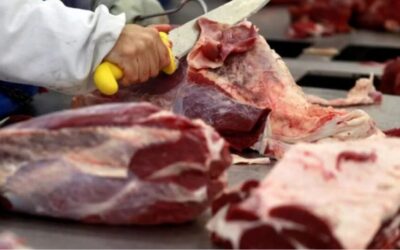 El Gobierno pone en marcha el reintegro de 10% para compras con tarjeta en carnicerías