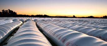 Silobolsas argentinos: con potencial para guardar los granos de Brasil