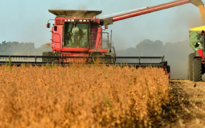 Soja: Carnaval de Precios