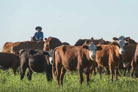 La Invernada se despertó en febrero