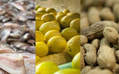 A un año de la guerra, el intercambio comercial de la Argentina con Ucrania y Rusia cayó más del 40%