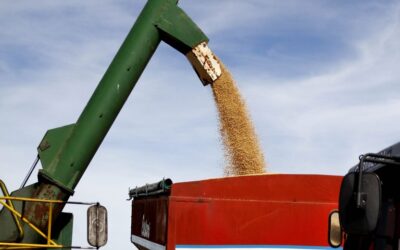 Buena señal para la Argentina: sube la soja en los mercados