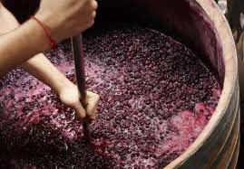 ?Argentina firma acuerdo para dar seguridad a nuestras exportaciones de mosto concentrado a EEUU