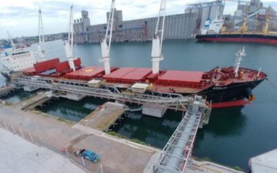 Crean un Observatorio de Insumos Agrícolas para agilizar la importación de fertilizantes