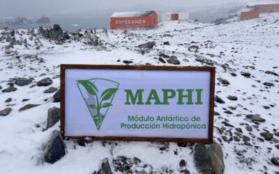 Antártida: La Base Esperanza produce las primeras verduras de hoja