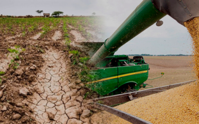 El desafío de dos cosechas, 22/23 y 23/24