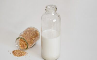 Bebida fermentada de quinua, un alimento funcional con valor agregado