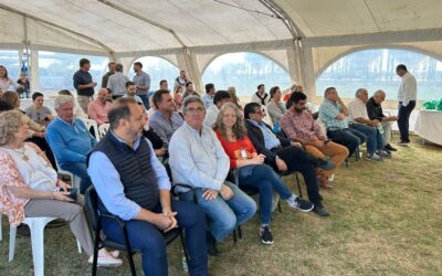 Cosecha de semilla de maíz: semilleros apuestan por la calidad en tiempos de sequía