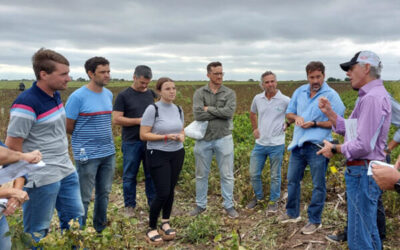 Herbicida biológico: la FCA-UNC y la compañía Helm realizan una prueba en el Campo Escuela