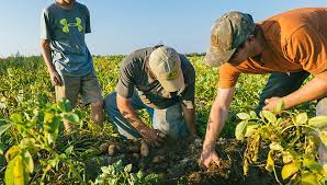 Fijan nuevos requisitos para que las economías regionales se sumen al Programa de Incremento Exportador