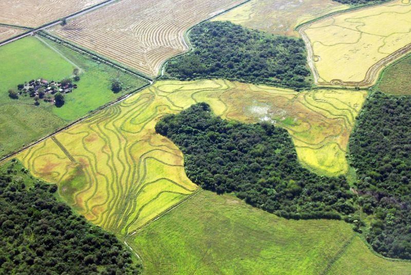 Los suelos de la Argentina almacenan el 2 % de la reserva mundial de carbono