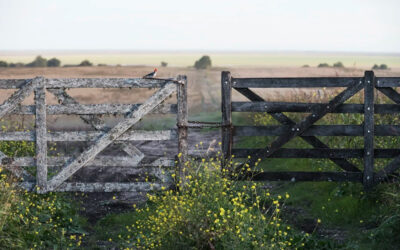 ?Pese a la incertidumbre económica,se mueve la compraventa de campos
