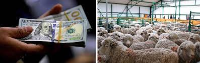 Alerta por acceso al dólar para la lana
