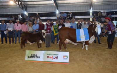 Santa Irene y La Matilde se llevaron los mayores premios de la Nacional Braford