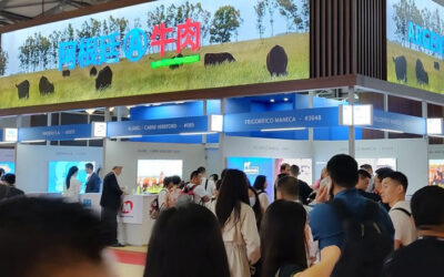 China: radiografía de un mercado que no para de crecer para la carne vacuna argentina