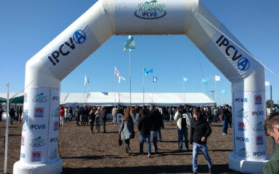 Con destacados especialistas y salidas a campo, se realizará en Jesús María una Jornada del IPCVA
