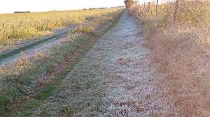 Prevén tiempo frío y seco seguido por un débil incremento térmico