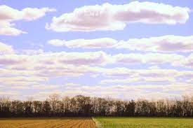 Prevén moderado ascenso térmico, acompañado por lluvias sobre el este del área agrícola