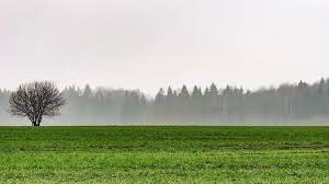Pronóstico semanal. Temperaturas moderadas y escasas lluvias en gran parte del área agrícola nacional