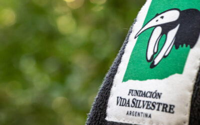 🌎Día Mundial del Medio Ambiente: es hora de proteger el ambiente entero.