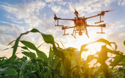Cómo la tecnología apoya la agricultura 4.0