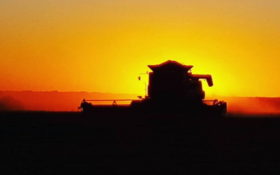 U$S 16.456 millones: en su año más difícil, los productores invirtieron una cifra récord