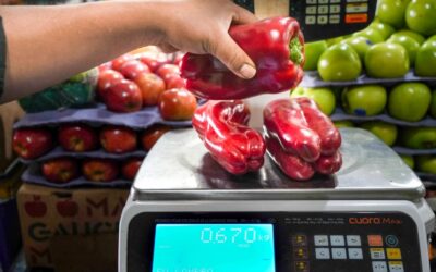 Alimentos: la brecha de precios entre el campo y la góndola en junio se mantuvo en 3,5 veces