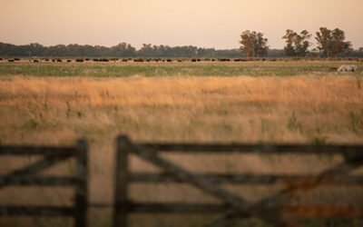 Vuelve a girar la rueda en el mercado inmobiliario rural