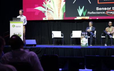 De la naturaleza a los algoritmos: Detectando malezas con machine learning