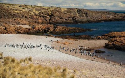 PreViaje 5 se lanza esta semana y tendría un tope de reintegro más alto