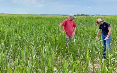 Los modelos inusuales de precipitaciones agotan la humedad del subsuelo de algunos agricultores de Nebraska