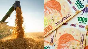 Casi inexistente actividad en el mercado de granos local por incertidumbre