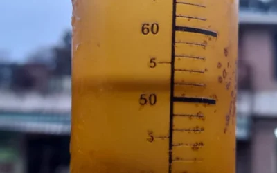 La lluvia cambió  los ánimos en el campo con la llegada oficial de “El Niño”