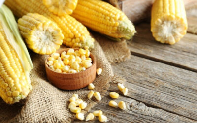 El rally por maíz no para y la pizarra marca máximos desde junio