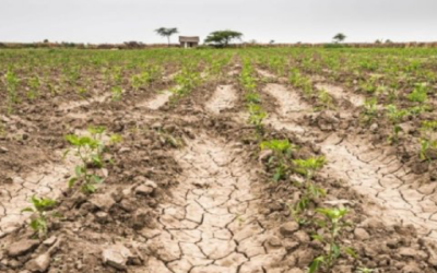 Lo que el climático nos dejó. Desarbitrajes y miradas apuntando al sur