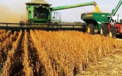 Dólar soja: en lo que va de septiembre se vendió un 88% más que en todo agosto