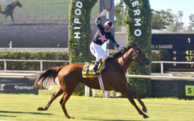 La Aduana denegó exportación de SPC porque su venta fue declarada a “valor irrisorio”