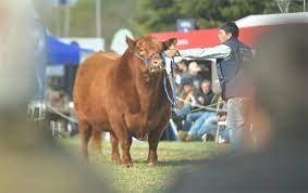 Cómo responde la genética a las exigencias de la sociedad verde